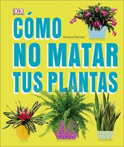 Listado Y Reviews De Plantas Interior 8211 Solo Los Mejores