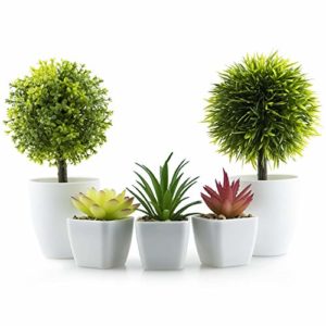 Mejores Precios Y Opiniones De Planta Decorativa Artificial Disponible En Linea