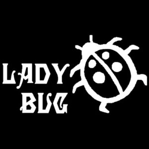 La Mejor Seleccion De Bicicleta Lady Bug Los Mejores 10