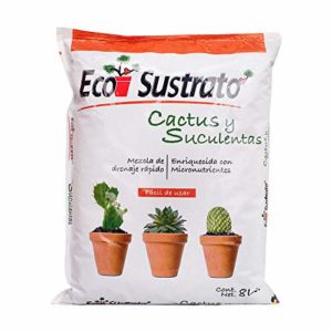 La Mejor Review De Cactus Esparto Tabla Con Los Diez Mejores