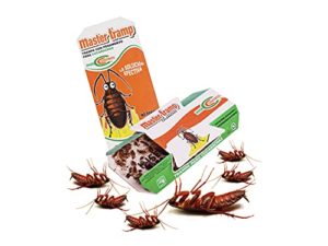 Consejos Y Reviews Para Comprar Pegamento Para Cucarachas Que Puedes Comprar Esta Semana